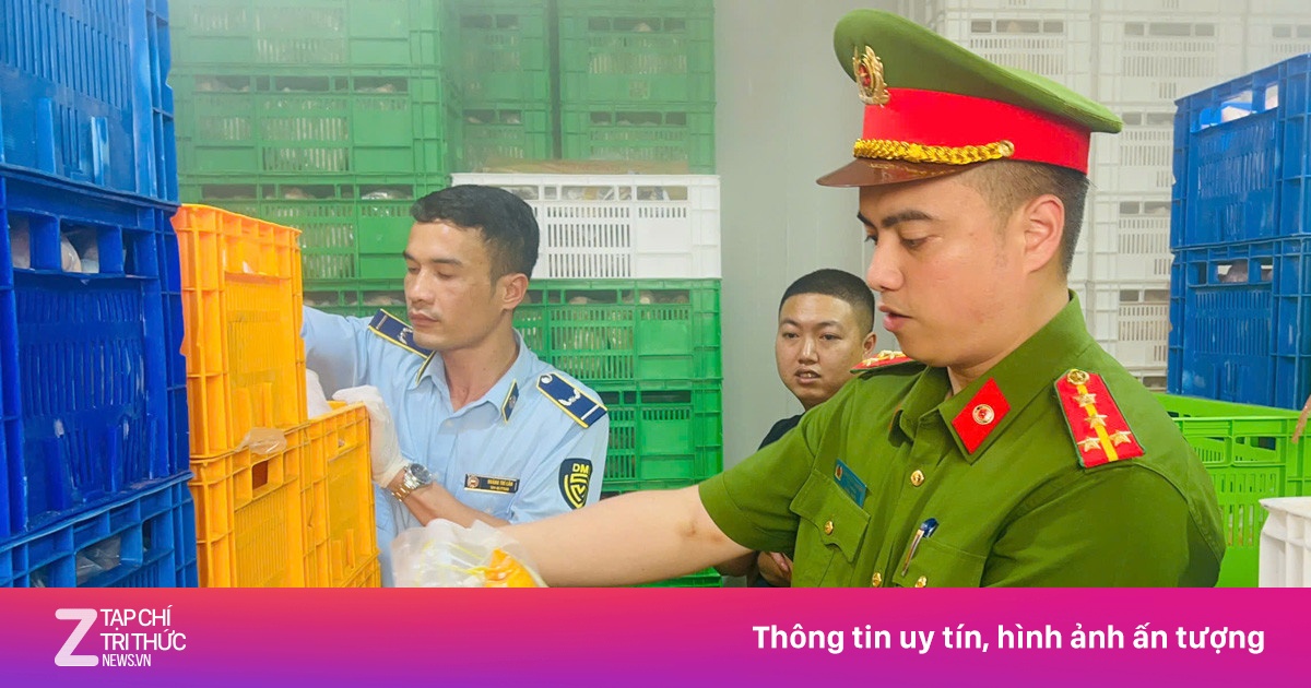 Phát hiện 20 tấn gà ủ muối, nội tạng 'bẩn' tại chợ đầu mối gia cầm