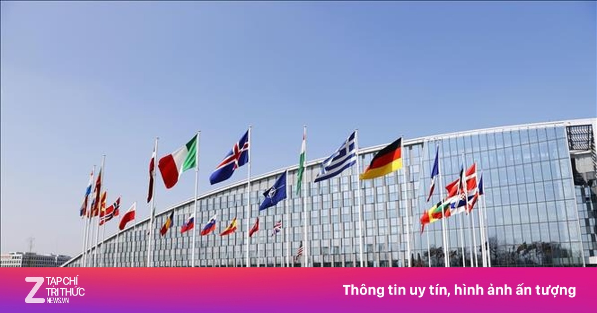 NATO: Điều tra nghi án tham nhũng trong hợp đồng mua sắm quân sự