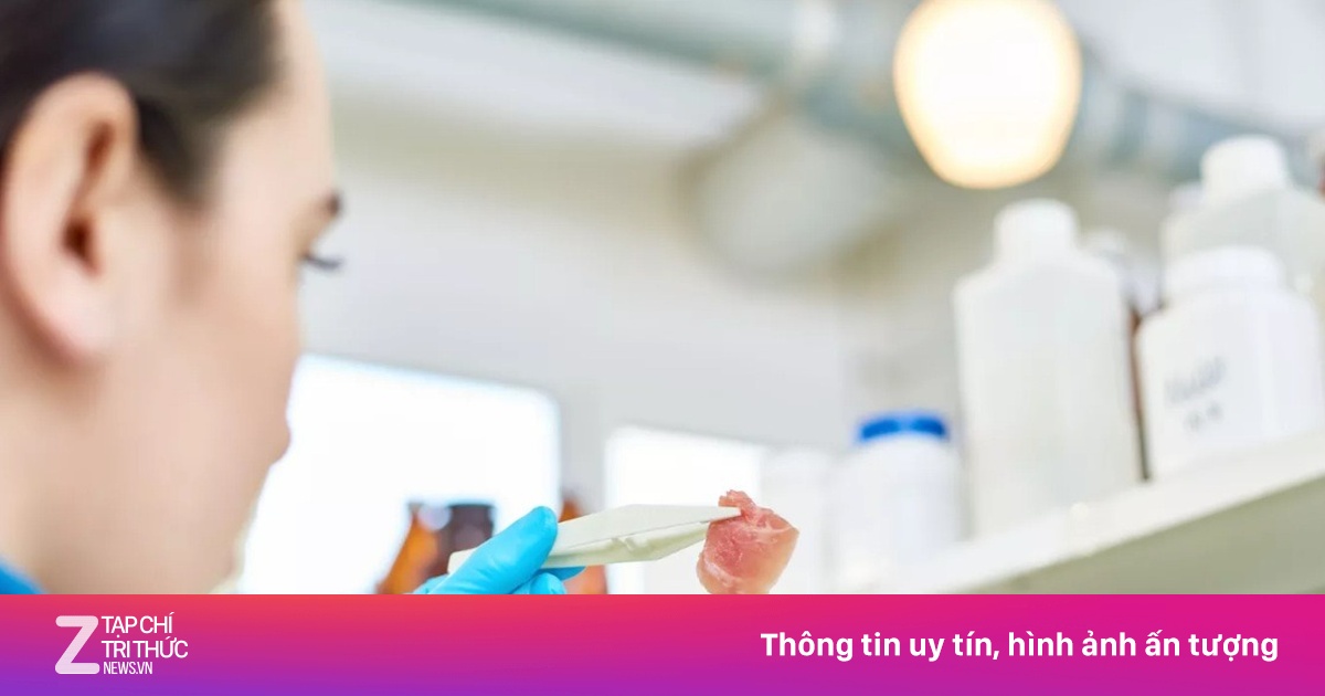 Các nhà khoa học Nga đề xuất in 'thịt sạch'