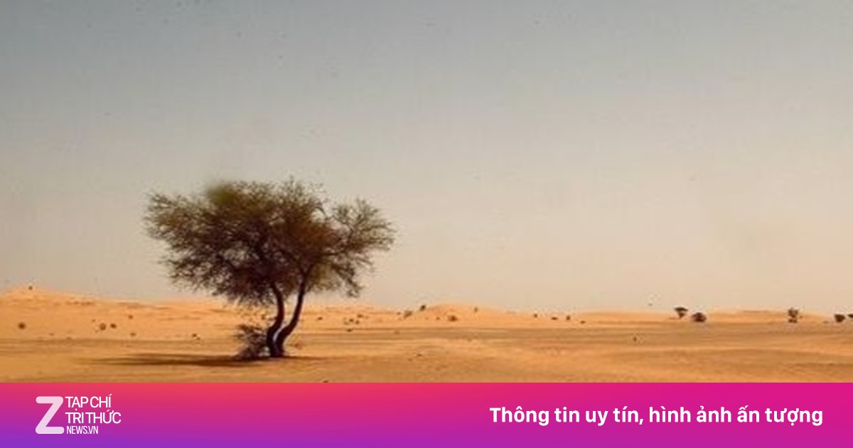 Mây bụi khổng lồ từ sa mạc châu Phi bay hàng nghìn km đến Mỹ
