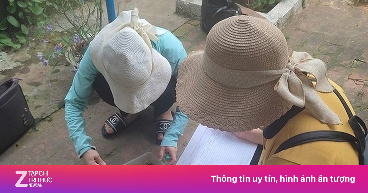 Khuyến cáo người dân các biện pháp ngăn chặn dịch sốt xuất huyết