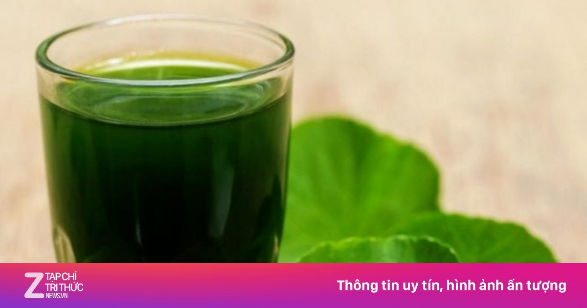 Uống nước rau má mùa hè có tác dụng gì?