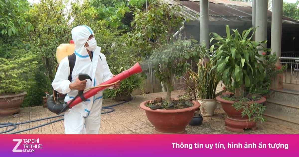 Số ca mắc sốt xuất huyết ở Hà Nội tăng, Covid-19 giảm mạnh