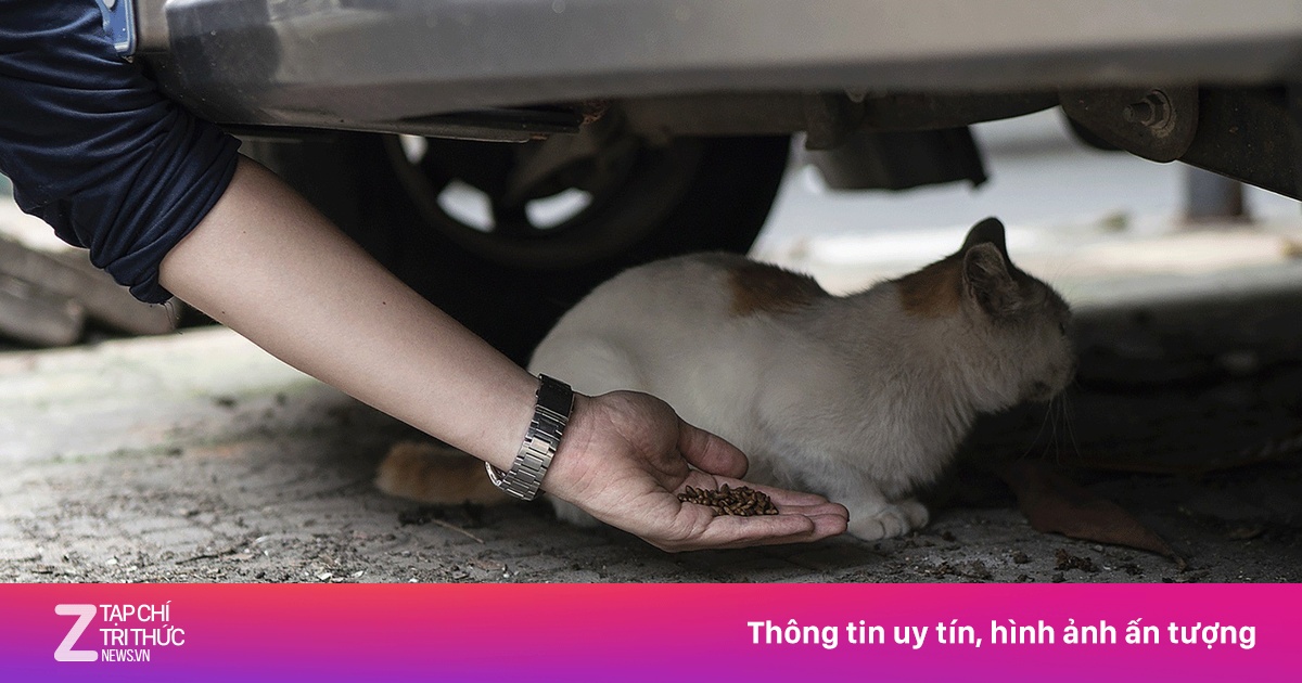 Thanh niên Trung Quốc mất suất làm công chức vì hành vi thời đại học