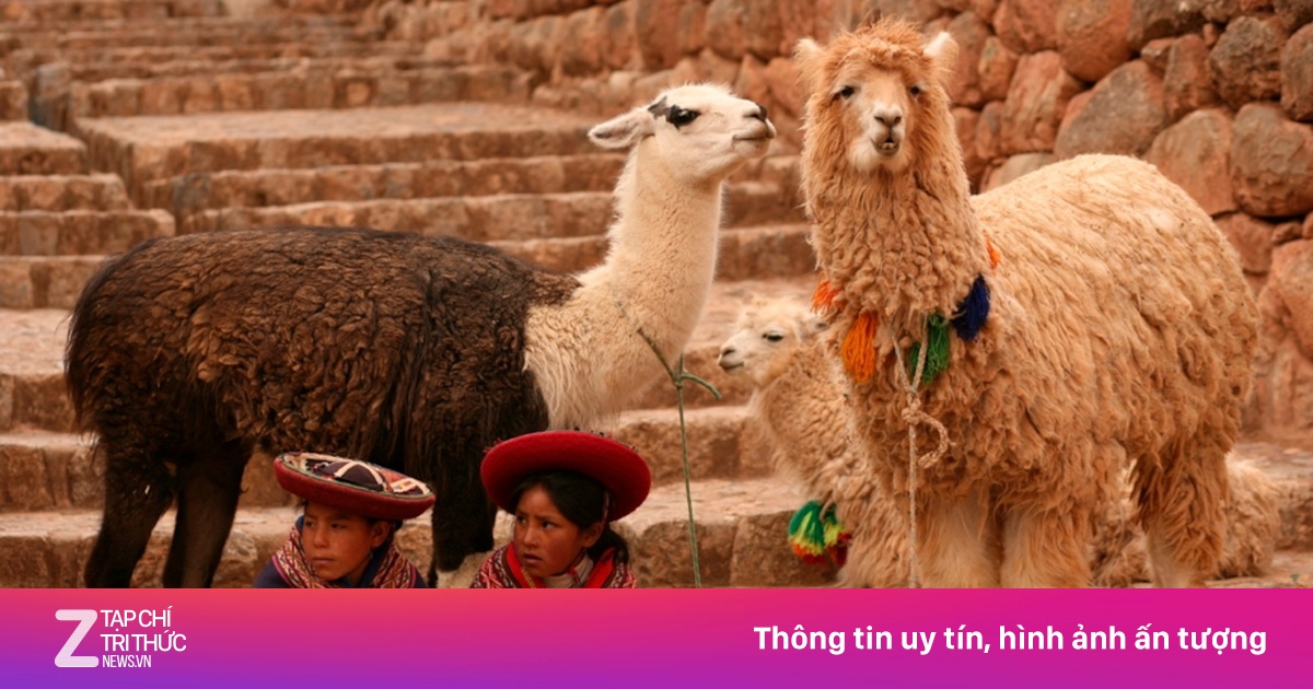 Quốc gia xa Việt Nam nhất trên Trái Đất