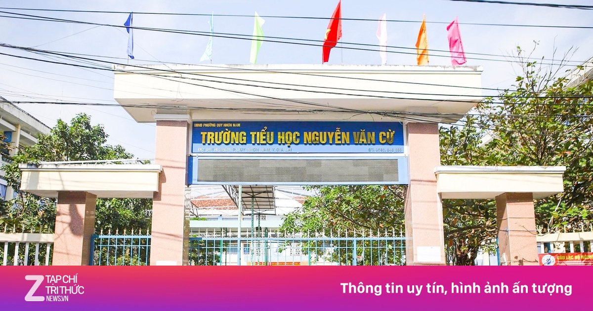 Gia Lai: Đề Nghị Chuyển Hiệu Trưởng Sau Vụ Lạm Thu Và Giáo Viên Sửa Điểm