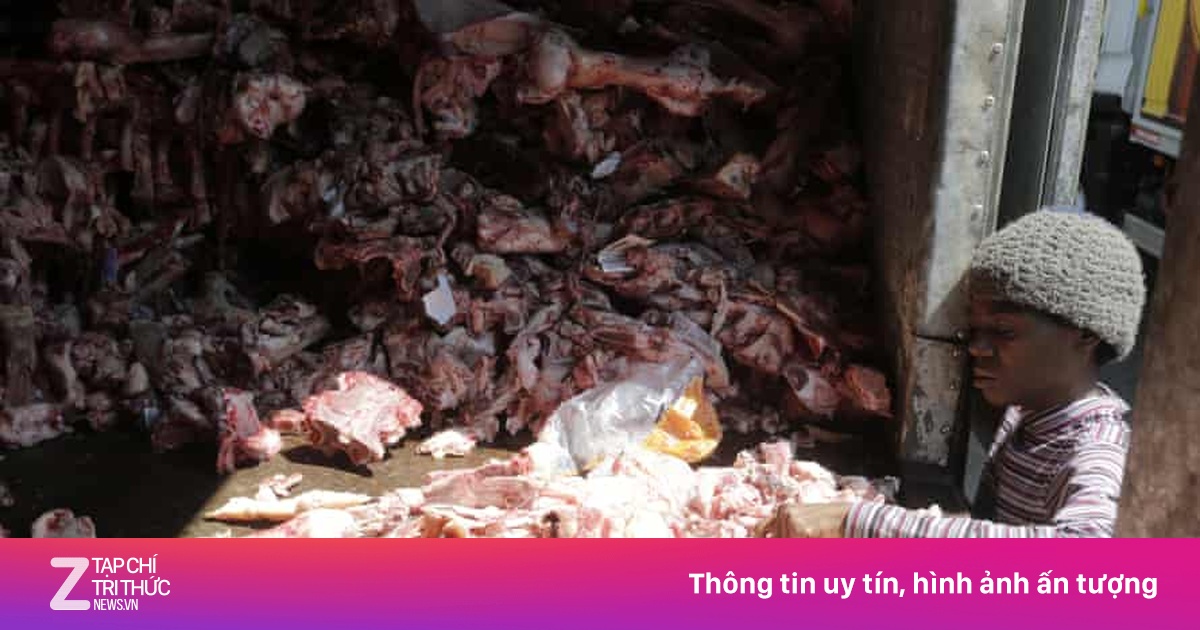 zingnews.vn