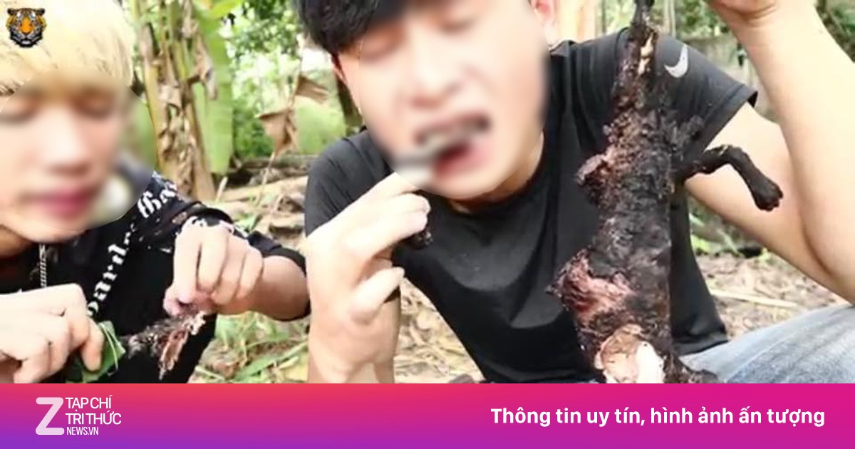 zingnews.vn