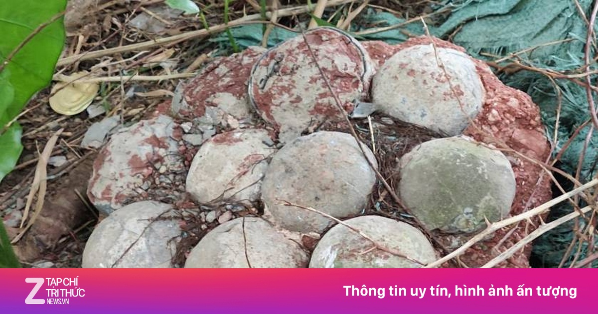 Phát hiện hóa thạch trứng khủng long giữa thành phố ở Trung Quốc