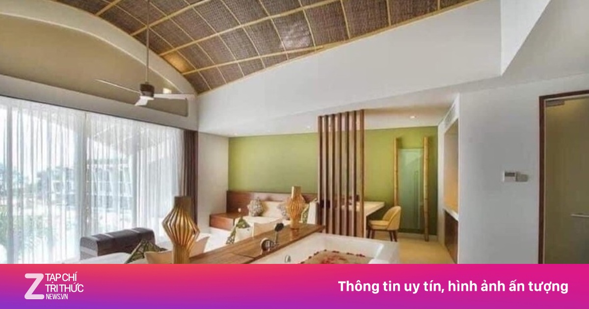 zingnews.vn