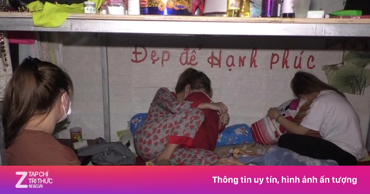 zingnews.vn