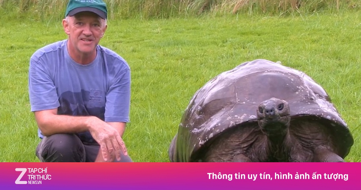 Cụ rùa già nhất thế giới lần đầu được tắm sau gần 200 năm | Znews.vn