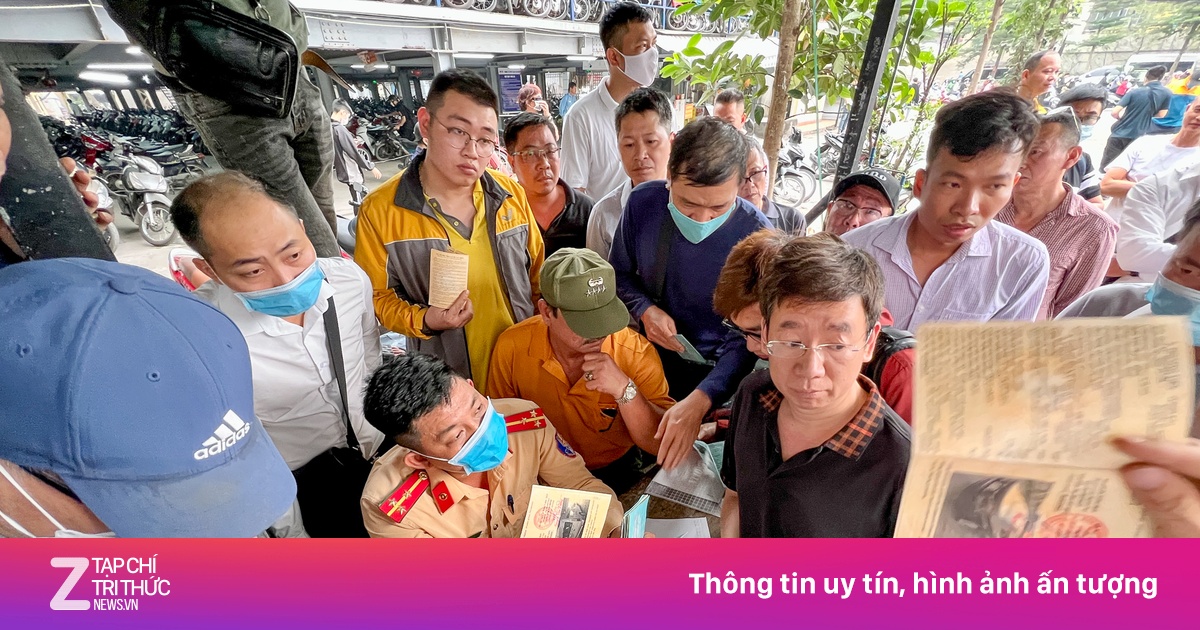 zingnews.vn