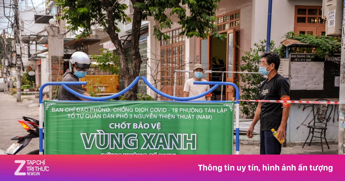 zingnews.vn