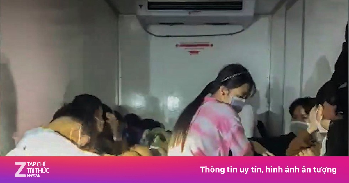 zingnews.vn