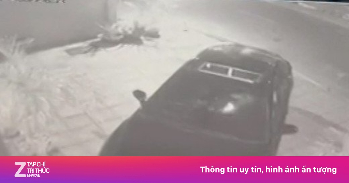 zingnews.vn