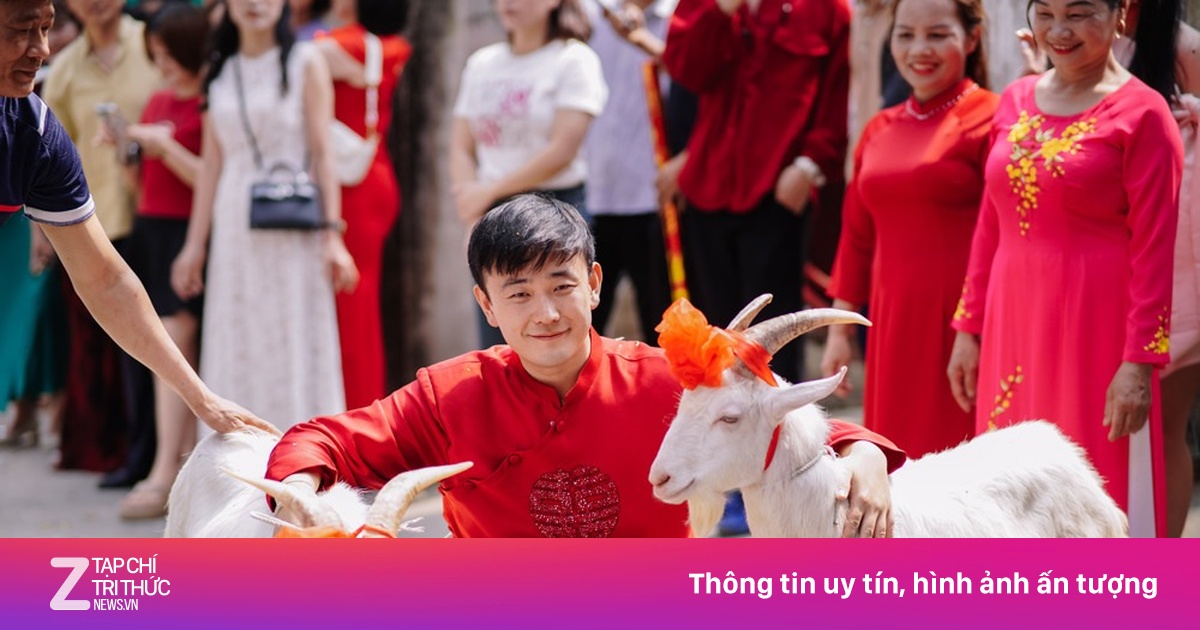 Chú rể dắt 2 con dê đi đón vợ, phía sau là câu chuyện đầy hài hước