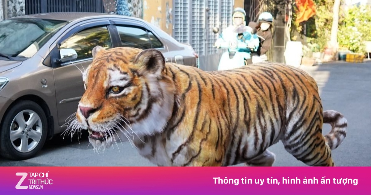 Chàng trai TP.HCM làm mô hình hổ như thật, người đi đường hết hồn