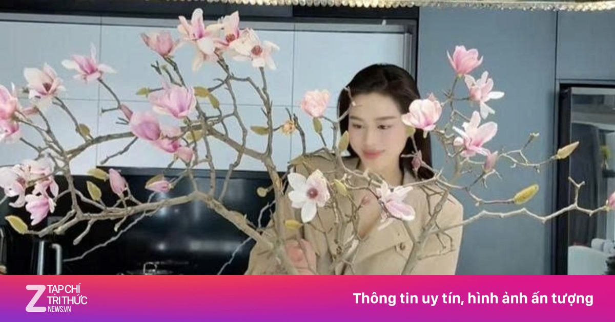 Vì sao hoa mộc lan thành trào lưu sốt xình xịch dịp Tết Bính Ngọ?