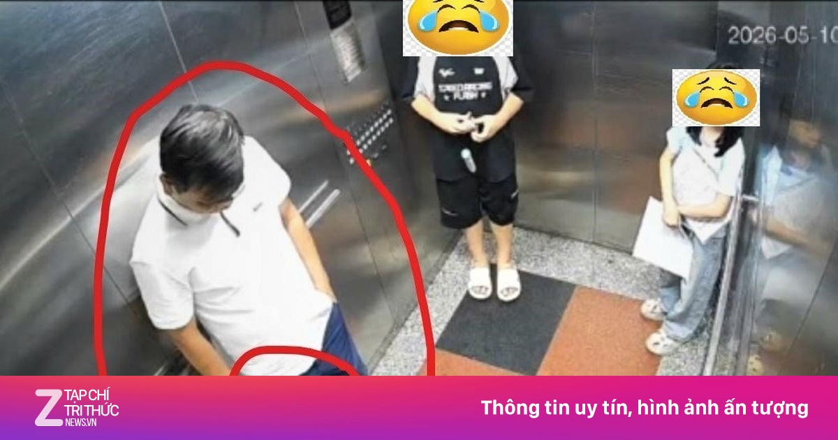 Cư dân đấm gục thành viên BQT chung cư vì bị nhắc đeo rọ mõm cho chó
