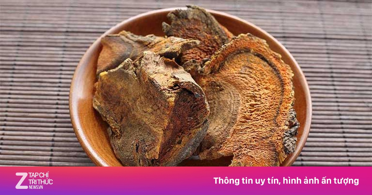'Tướng quân' trong các loại dược liệu bổ gan