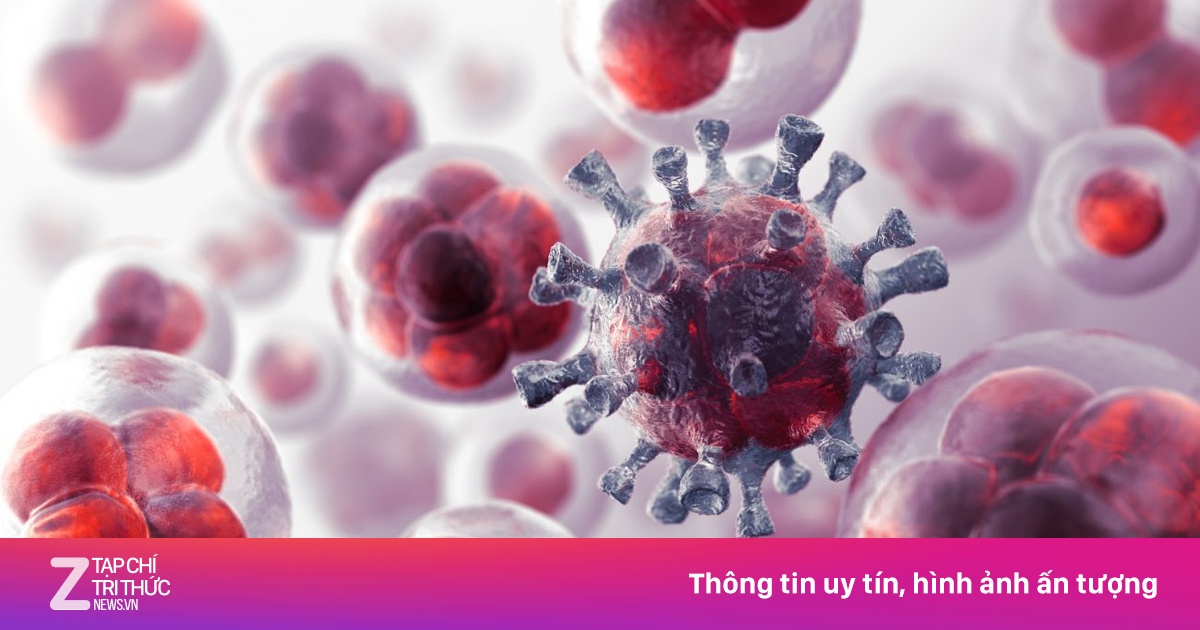 Mối liên hệ giữa lão hóa tế bào và ung thư