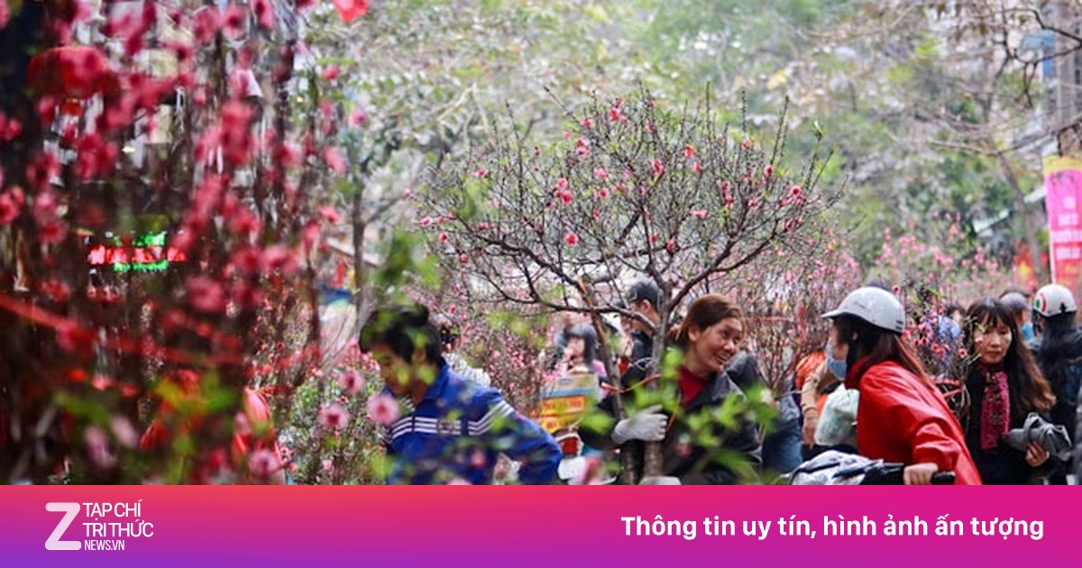 Cô bé bán đào quất chiều cuối năm