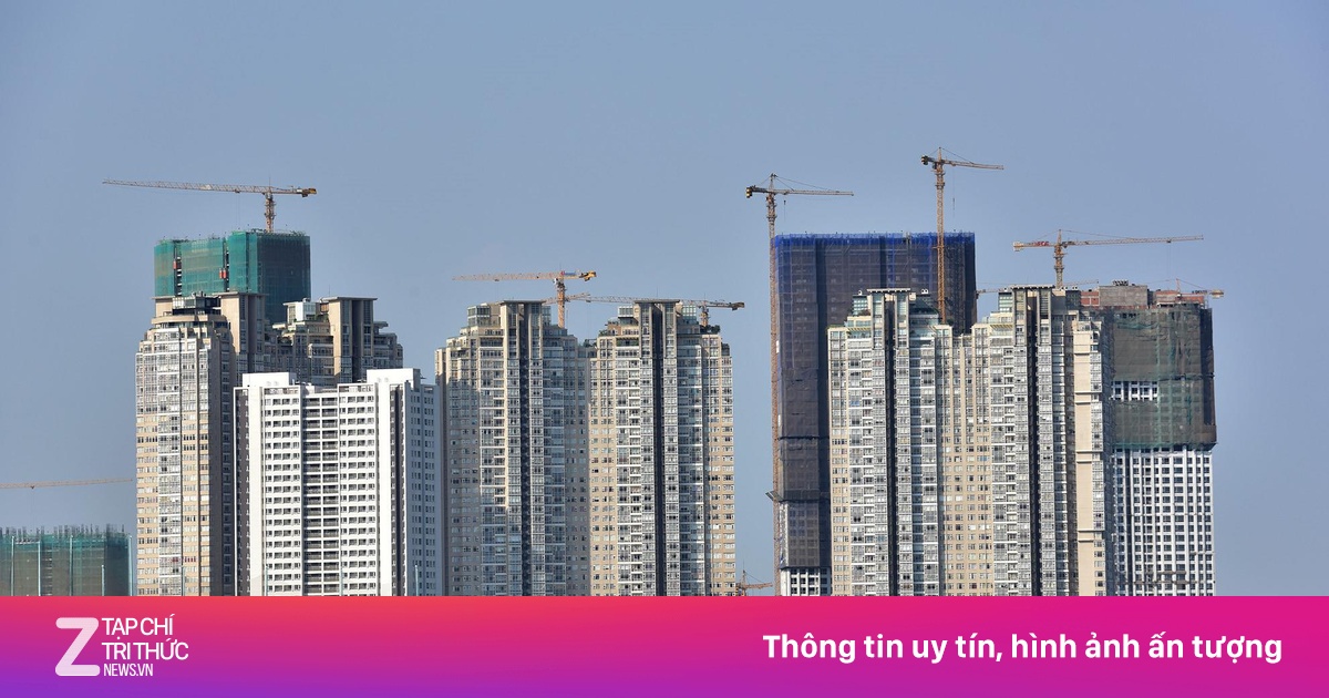 zingnews.vn