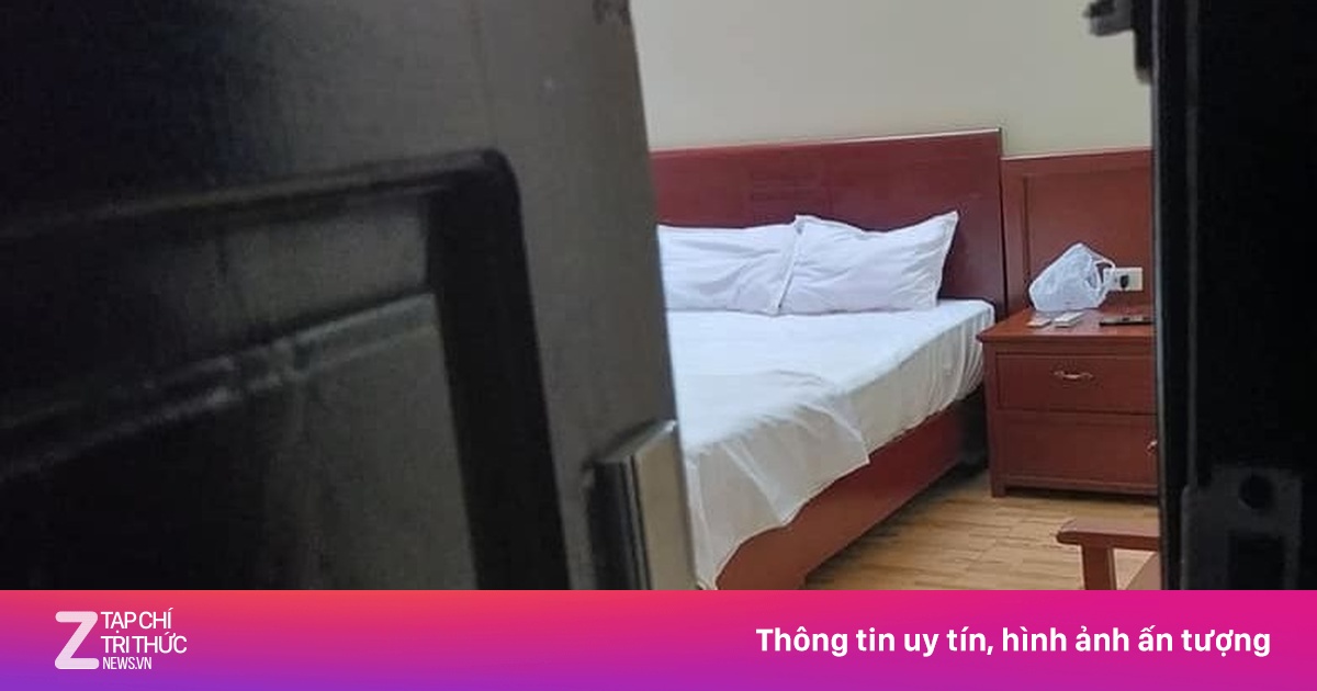 znews.vn