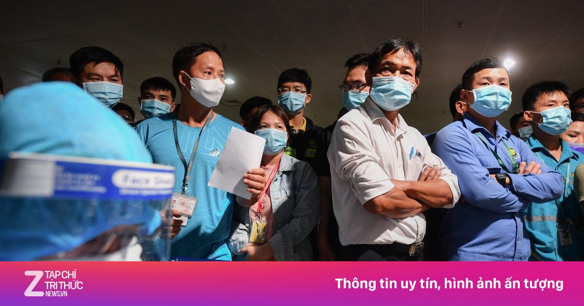 zingnews.vn