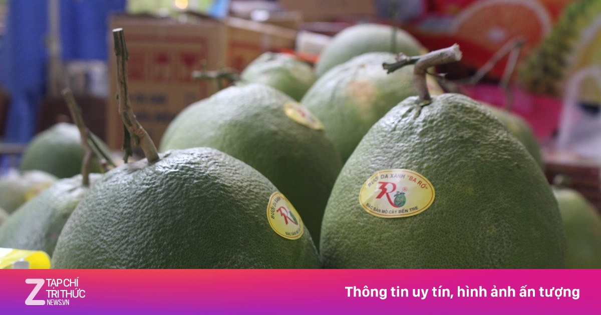 zingnews.vn