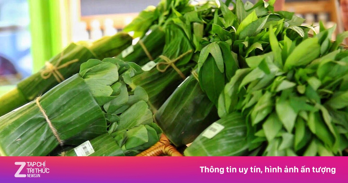 zingnews.vn