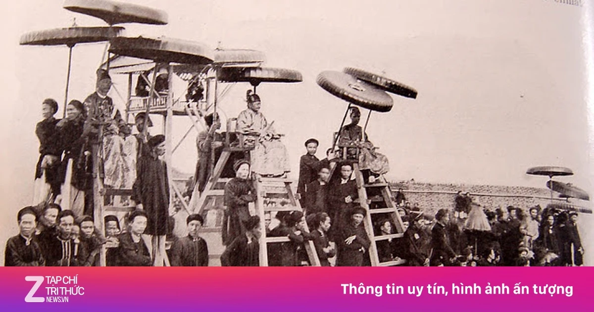 znews.vn