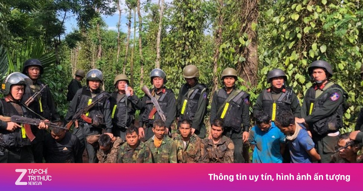 lifestyle.zingnews.vn