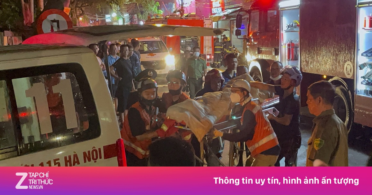 znews.vn