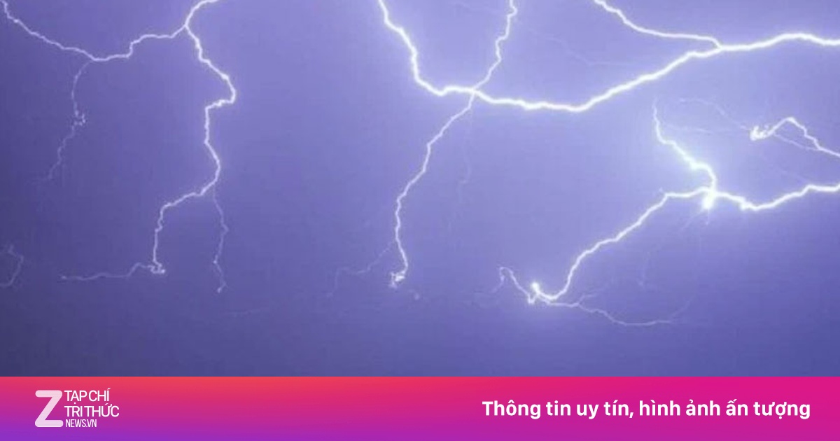 znews.vn