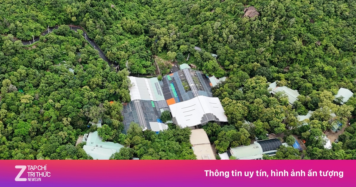 Image hình ảnh hình ảnh hình ảnh hình ảnh hình ảnh hình ảnh hình ảnh hình ảnh hình ảnh Mikel Arteta - Sẽ cưỡng chế công trình không phép tại chùa của ông Thích Chân ...