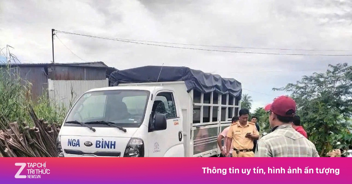 znews.vn