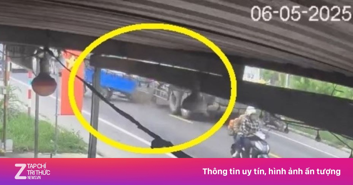 znews.vn