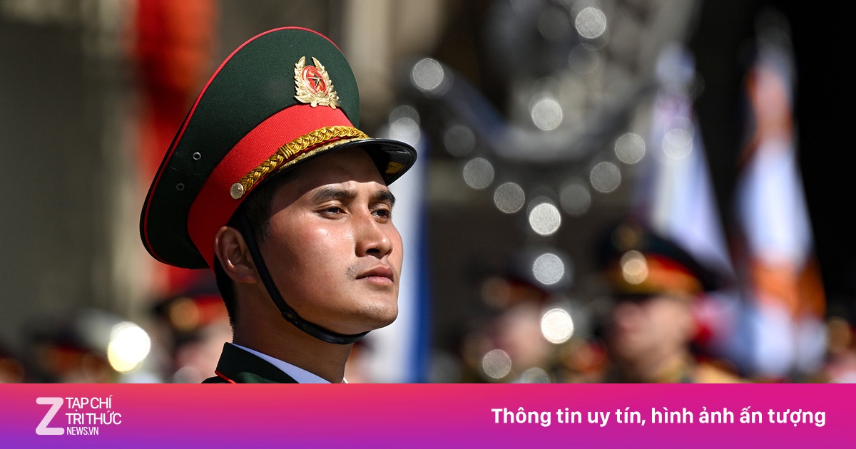 znews.vn
