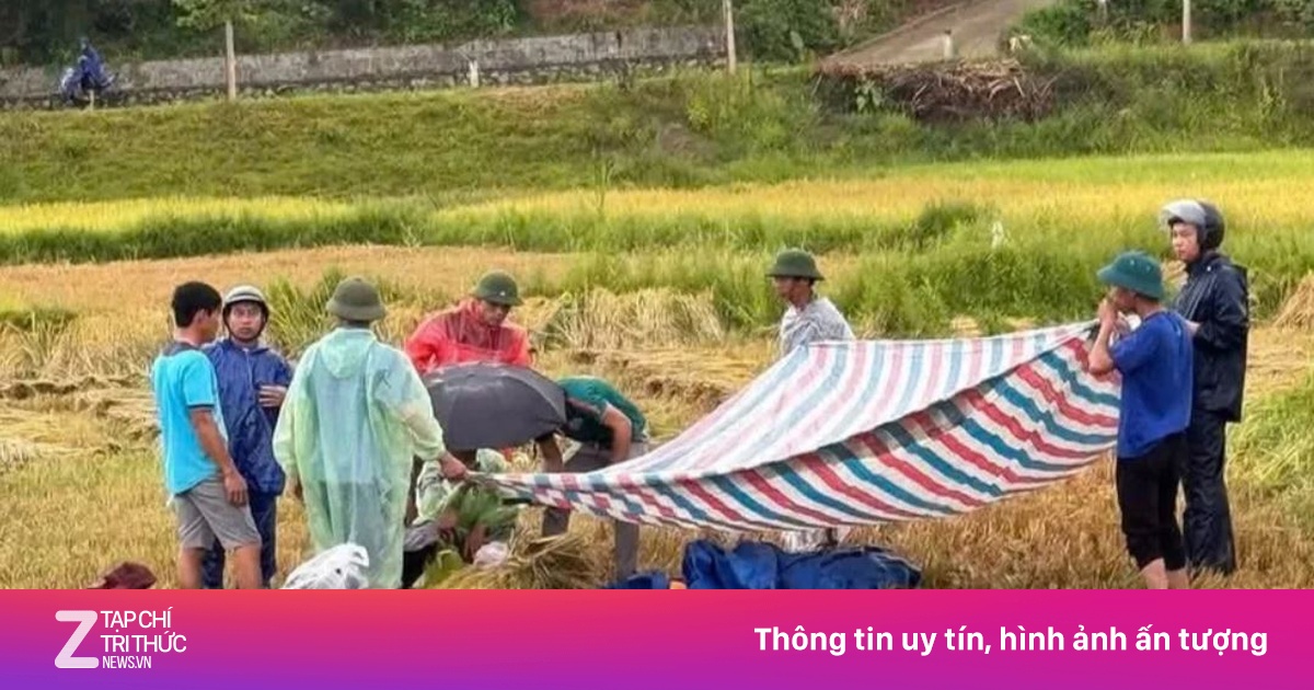 Cầm điện thoại khi đang gặt lúa, người đàn ông bị sét đánh tử vong