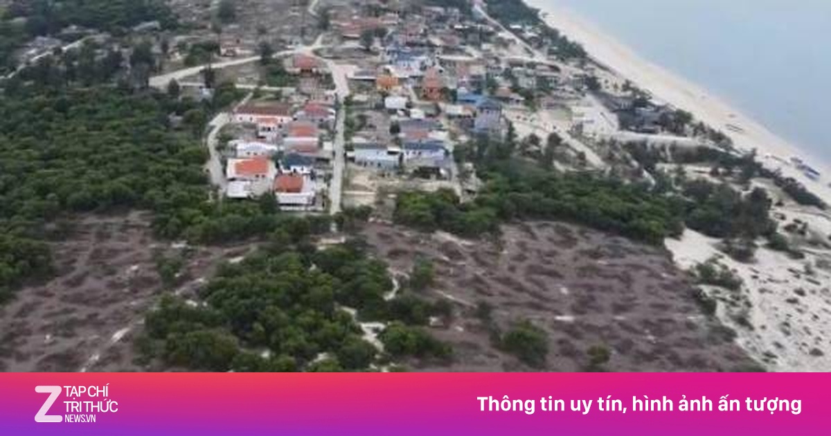znews.vn