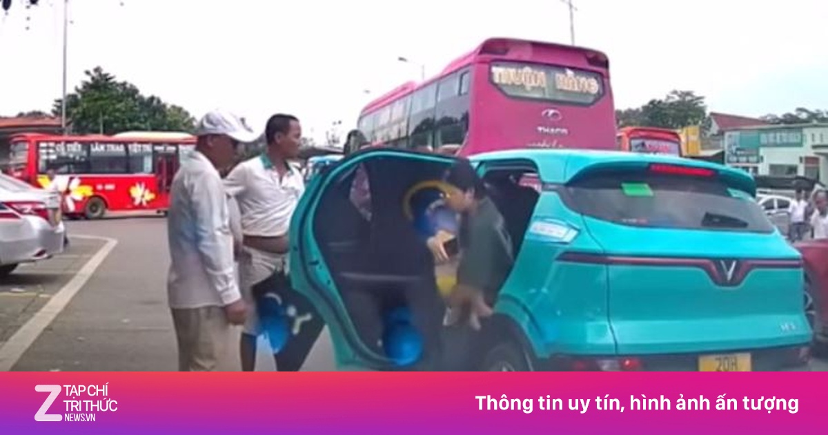 znews.vn