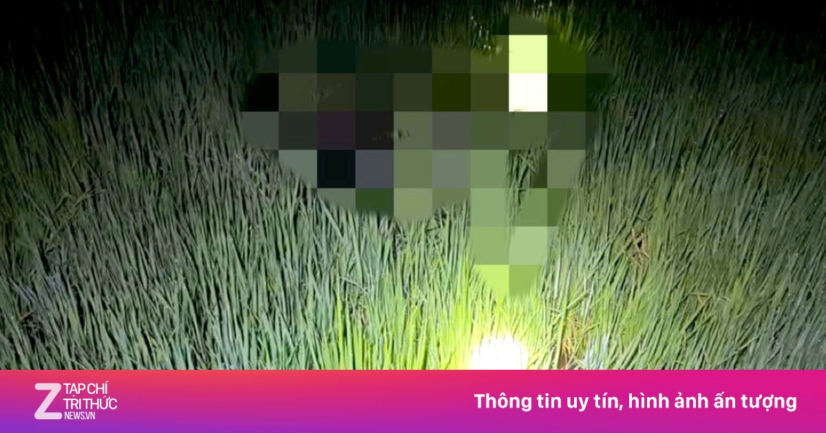 Khởi tố người đặt bẫy chuột bằng điện khiến 2 người tử vong