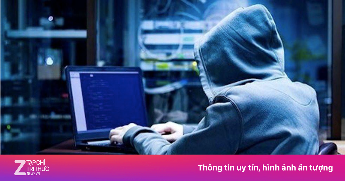 znews.vn