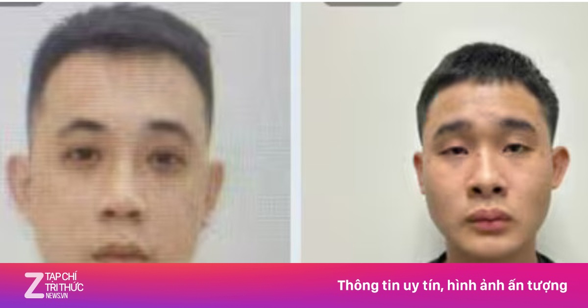 znews.vn