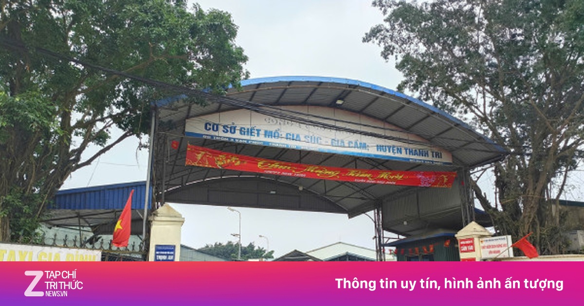 Hà Nội: Phát hiện lò mổ gần 300 tấn lợn bệnh, liên quan đến cung cấp thực phẩm trường học