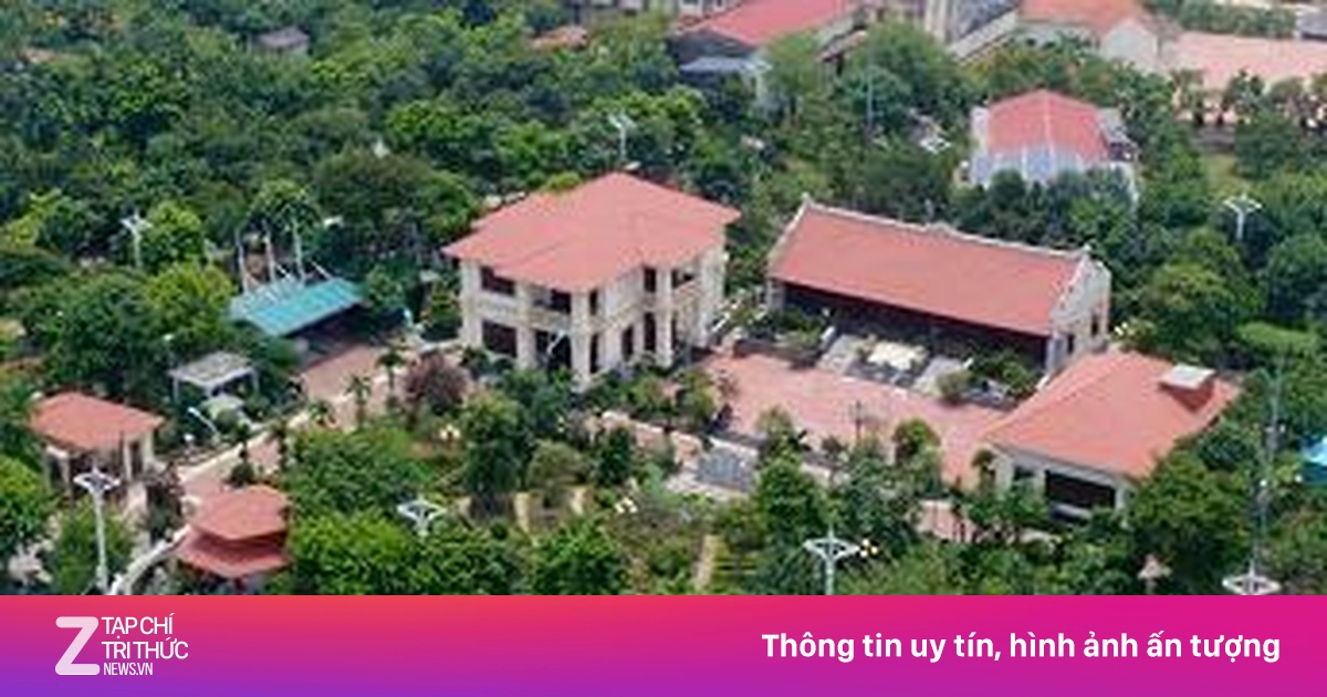 zingnews.vn