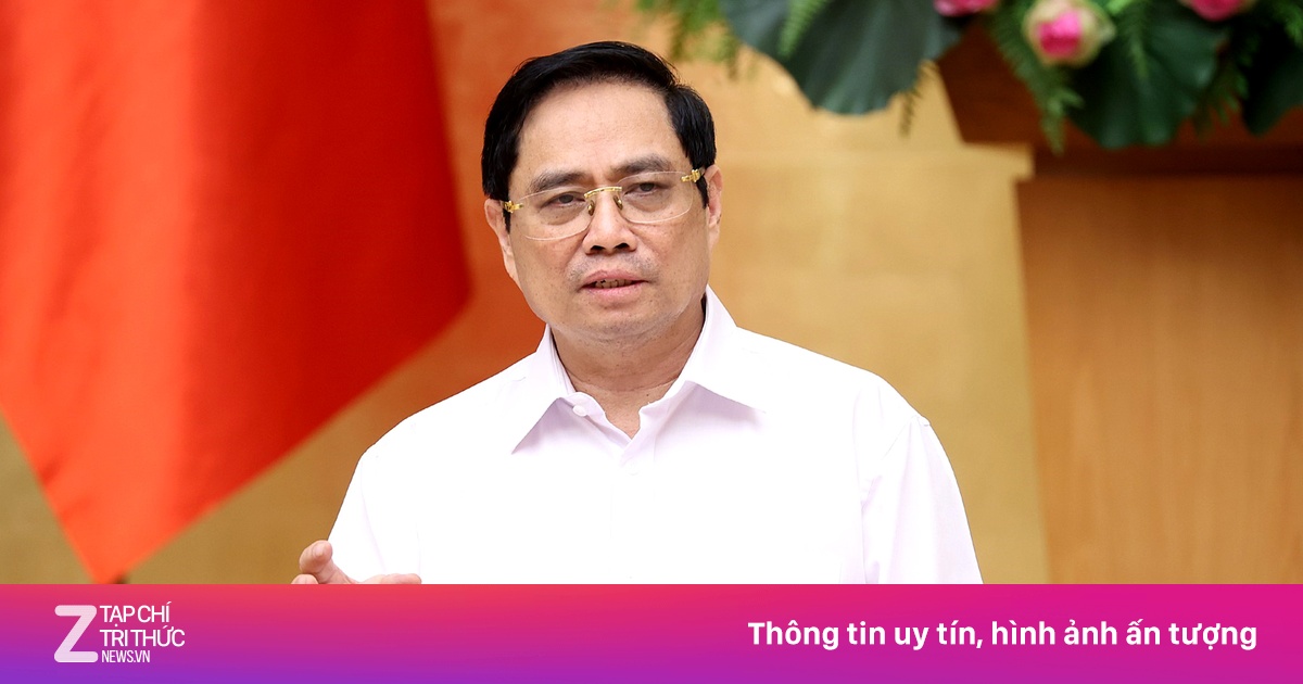 zingnews.vn