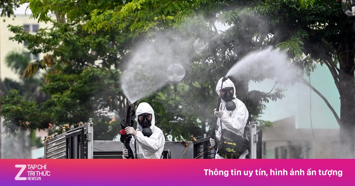zingnews.vn